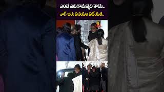 నాగ్ చిరు వినయం విధేయత  Nagarjuna Chiranjeevi Touches Amitabh Bachchan Feet At ANR National Award [upl. by Blondell482]