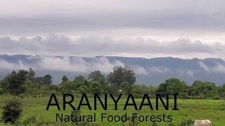 Aranyaani vid1 2017 [upl. by Mylor]