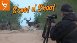 SCOOT n SHOOT  Hunting bucks WIDE OPEN Buck Commander NEW EPISODE [upl. by Nonarb567]