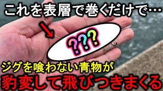 ジグに全く反応しない青物…そんな時はこのルアーを使えば態度が豹変して爆釣出来ます [upl. by Saunders]