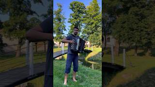 Fale Dunaju accordion akordeon music accordioncover cover accordionist musician [upl. by Bremble204]