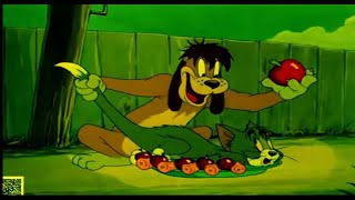 Tom and Jerry  Jerry And The Lion  looney tunes cartoons  Wbkidscartoonsbn3ix [upl. by Nagoh]