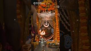 🙏 Jai Mahakal🙏 shortfeed mahakal majjuu1469MiaBiwiWinees [upl. by Kolk778]