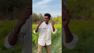 Balleilakka Balleilakka shortstamil song reels rajinikanth sivajitheboss Balleilakka [upl. by Ehav]