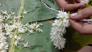 Sikhiye gajra bnana Ghar pephoolo ka gajra bnana sikhe mere sathmake gajra at home [upl. by Lohse]