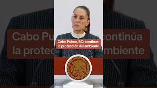 Cabo Pulmo BC continúa la protección del ambiente 🏝️  P18 ⏰ [upl. by Eednac]