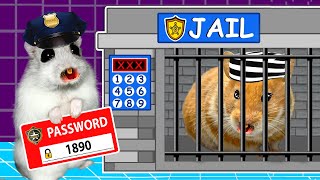 Hamster Escapes from the Prison Maze Awesome for Pets in real life by Great Hamster [upl. by Hadley]