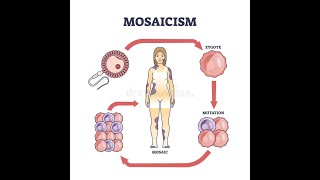 Understanding the concept of chimerism Chimera Mosaicism Natural chimerism [upl. by Endaira]