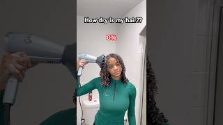 How dry is my hair almost at 500🤭💚 hairstyle foryou curlystyles hairstyles 3c 4a [upl. by Lusty]