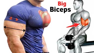 5 Killer Biceps Workouts for Massive Gains  bicep workout [upl. by Pryor]