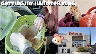 MEET HARU 🐹  Hamster Adoption Vlog [upl. by Haerdna]