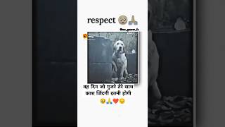 motivation shorts ytshorts vah din Jo gujre tere sath khas jindagi itni hogi jimee Dog [upl. by Eirahcaz]