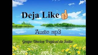 Grupo Uncion Tropical de Salta Completo [upl. by Ojillek]