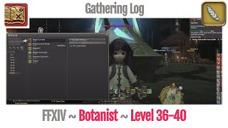 FFXIV Botanist Gathering Log Level 3640  A Realm Reborn [upl. by Stamata233]