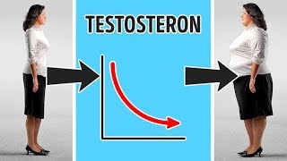 9 Hormone die zu Gewichtszunahme führen und Möglichkeiten dies zu vermeiden [upl. by Annairt]