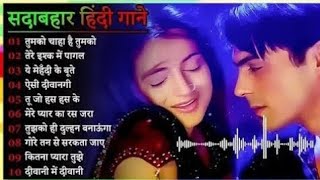 90S Evergreen Hindi Songs🌸🌸90s Love Song🌲🌲Udit Narayan Alka Yagnik Songs 2024 [upl. by Annirtak]