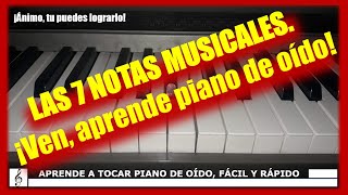 CÓMO IDENTIFICAR LAS 7 NOTAS MUSICALES EN EL PIANO BÁSICO🎹 [upl. by Ochs319]