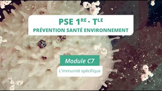 PSE module C7 bis  Limmunité spécifique [upl. by Ennahgiel997]