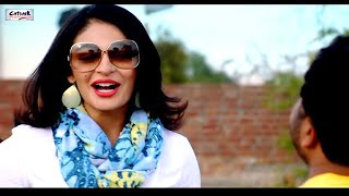 Punjabi Comedy Scenes  Part 1  RSVP Ronde Saare Vyah Pichhon  Movie  Neeru Bajwa  Harish Verma [upl. by Aylsworth410]