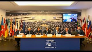 EU PARLIAMENT AESI EU COMMISSION FOR PEACE MIDDLE EAST [upl. by Ahsiliw]