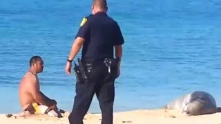 Honolulu Police Beats Hawaiian Man for Chanting by a Seal [upl. by Znerol124]