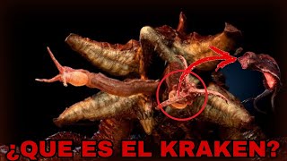 Que es el kraken  C is 4 Charly [upl. by Minetta896]