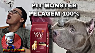 PELAGEM DO MEU PIT MONSTER RECUPERADA [upl. by Htessil]