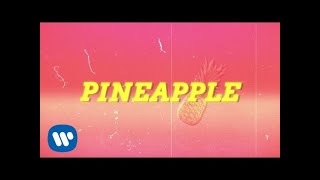 Ty Dolla ign  Pineapple feat Gucci Mane amp Quavo Lyric Video [upl. by Salomo]