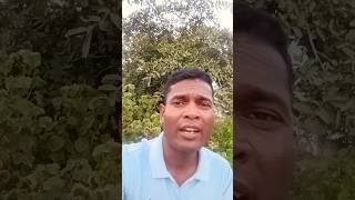 Inah Koram Talare  Santali short video [upl. by Lalla744]