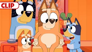 Bluey Season 3 Episode 27 quotMusical Statuesquot Episode Clip  disneyjr  BlueyOfficialChannel​ [upl. by Nihi]