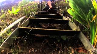 Stairway to Heaven Hike Hawaii  GoPro [upl. by Pliam370]