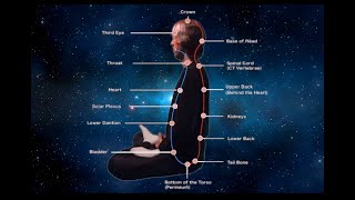 THE MICROCOSMIC ORBIT  ULTIMATE VERSION Powerful Qigong Healing Meditation [upl. by Yenruoc]