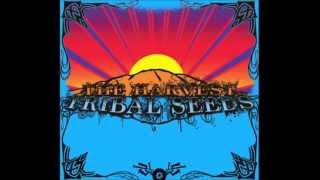 Tribal Seeds  Away [upl. by Aili]