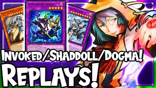 Invoked Shaddoll Dogmatika UPDATE YuGiOh Master Duel Platinum Rank Replays Info in Description [upl. by Dustman]