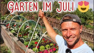 Garten im Juli 🍓 Vogelschutznetz mit PVC Rohren  Hochbeet [upl. by Iliam]