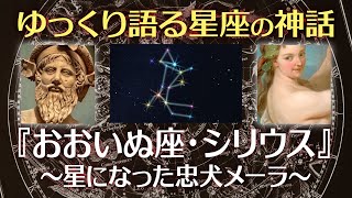 おおいぬ座・シリウスの神話〜星になった忠犬メーラ【ゆっくり語る星座の神話】【寝落ち動画】 [upl. by Leanne]