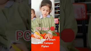 Pre school activities The Smart school bilal campus piplan [upl. by Rossi]