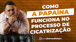 Como a papaína funciona na cicatrização de feridas [upl. by Helban]