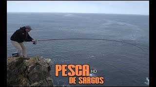 Pesca de Sargos com Sérgio Tente 2018 [upl. by Morey]