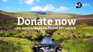 Help secure Skiddaw Forest  an extraordinary opportunity for nature [upl. by Enedan178]