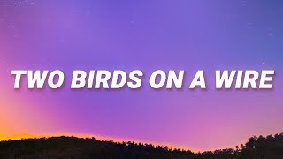 Regina Spektor  Two Birds On a Wire Lyrics [upl. by Kannan]