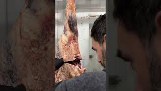 How to Masterfully Remove a Sirloin Tip by The Silver Fox Butcher [upl. by Larissa]