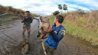 PESCARIA DE PENEIRÃO PEGAMOS A FILÓ CAPIVARA NO PENEIRÃO SO VENDO PARA ACREDITAR [upl. by Araldo90]