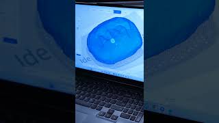 Scanning a Fossil with the EinScan H2 [upl. by Lodnar]