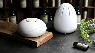 Top Rated Waterless Essential Oil Diffusers in 2024 [upl. by Katherina577]