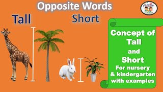 Opposite wordsconcept of tall and shortOpposite words for nursery kindergarten [upl. by Granthem]