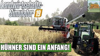 LS19 Tierfarm 01 Hühner sind ein Anfang  Landwirtschafts Simulator 19 Felsbrunn [upl. by Segroeg]