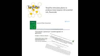 TerpsPro for Higher Quality Cannabis [upl. by Yaresed]