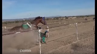 Carreras de Caballos en Carrillo Puerto Loreto 2019 [upl. by Yarehs]