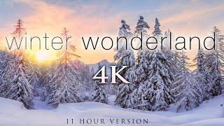 4K 11 Hours of Winter Wonderland  Calming Hang Drum Music for Relaxation Stress Relief UHD [upl. by Htenay988]